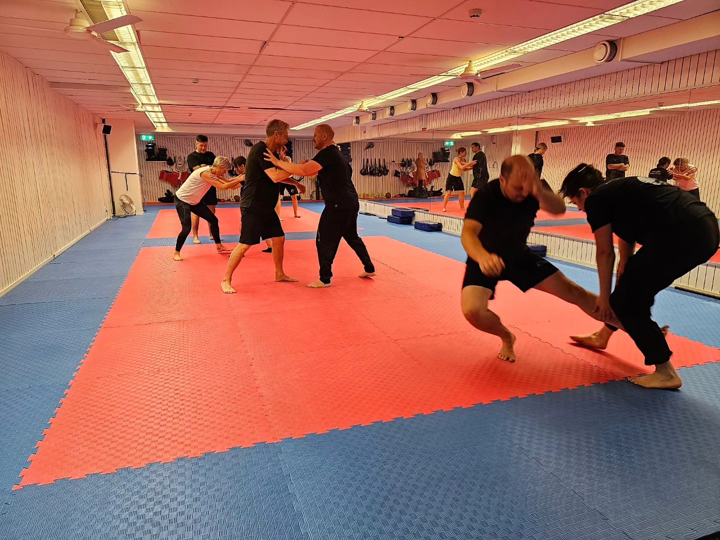 Wushu Federations National Camp Tui Shou